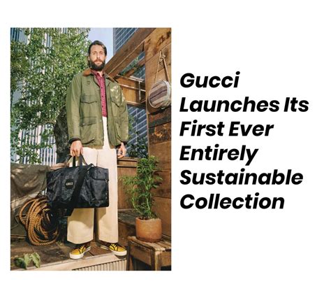 how sustainable is gucci